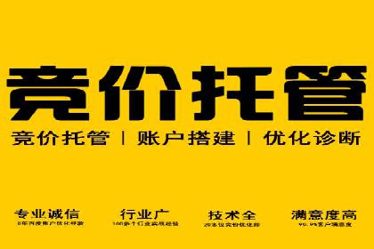 SEM推广案例：行业竞争分析